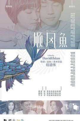 光闪闪的录像